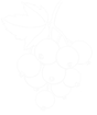 counter_image