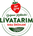 Mobile Logo